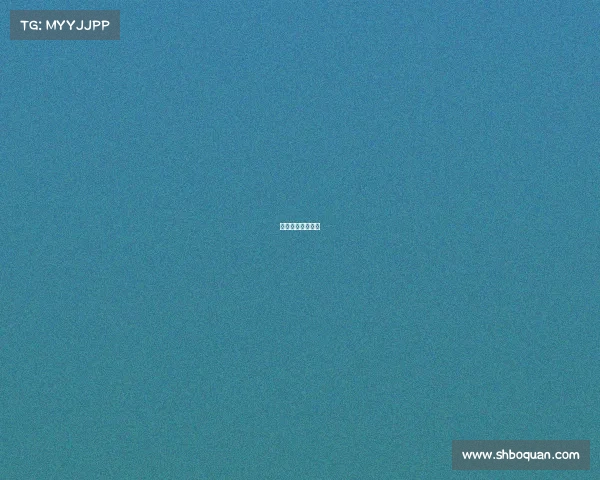 击剑赛事认证级别